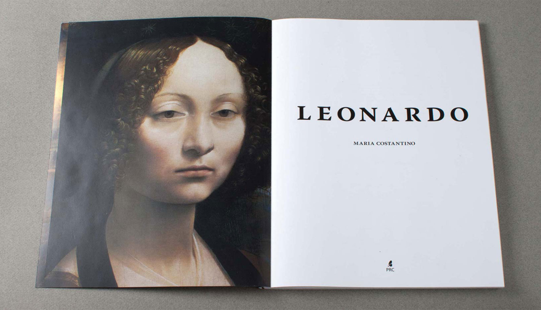 Leonardo Book Redesign Image 3